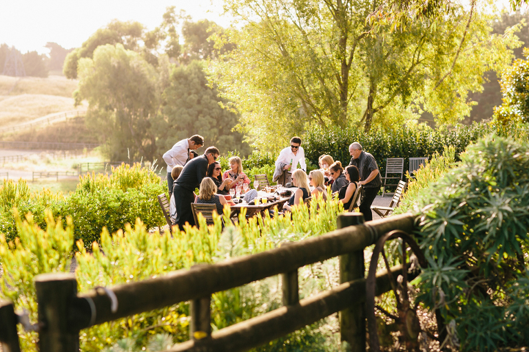 Te Horo Sudburys Wedding Guests enjoying themselves