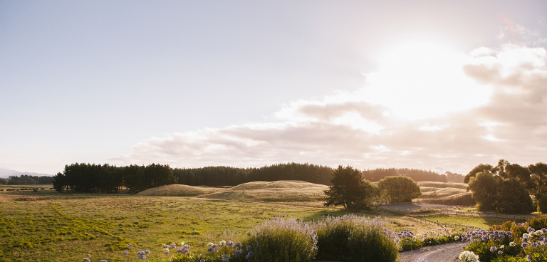 Te Horo Sudburys Talking Horses