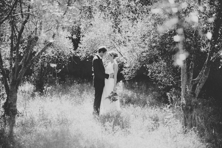 Olive Grove Orchard Wedding Photography