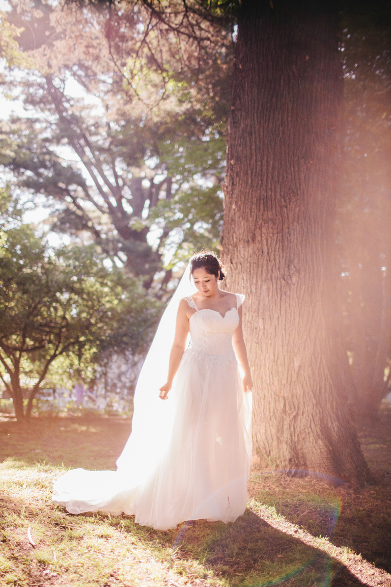 Bridal in sunflare photography