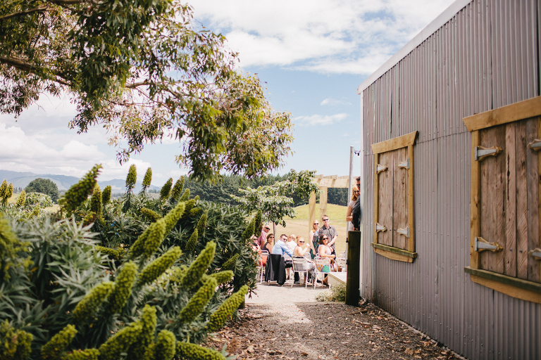 wedding guests outside natural light Te Horo Beach wedding 