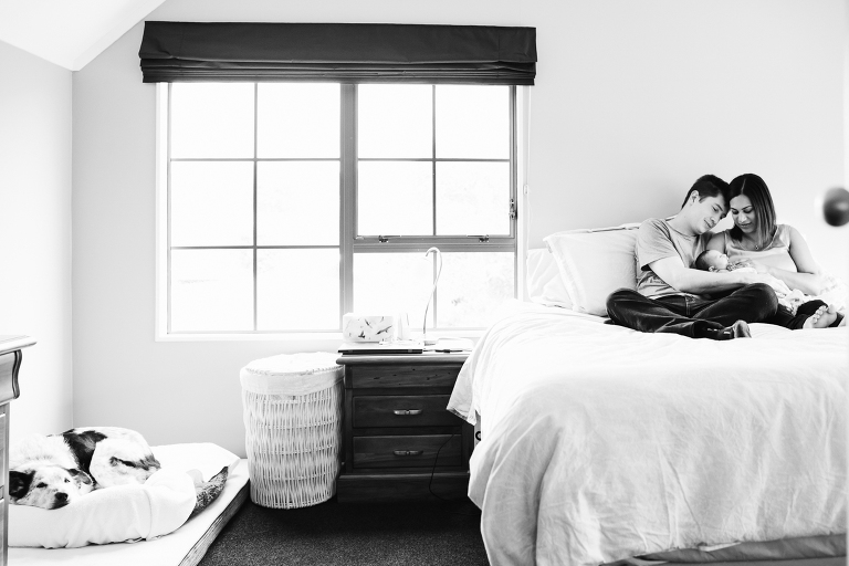 mom and dad holding baby girl on bed with dog looking on Newborn Photography Wellington natural light black and white