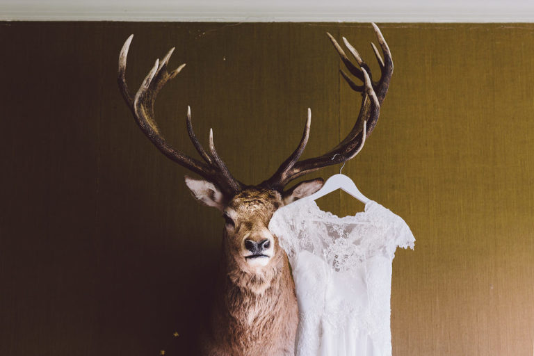wedding dress hanging from deer antlers natural light Wellington wedding